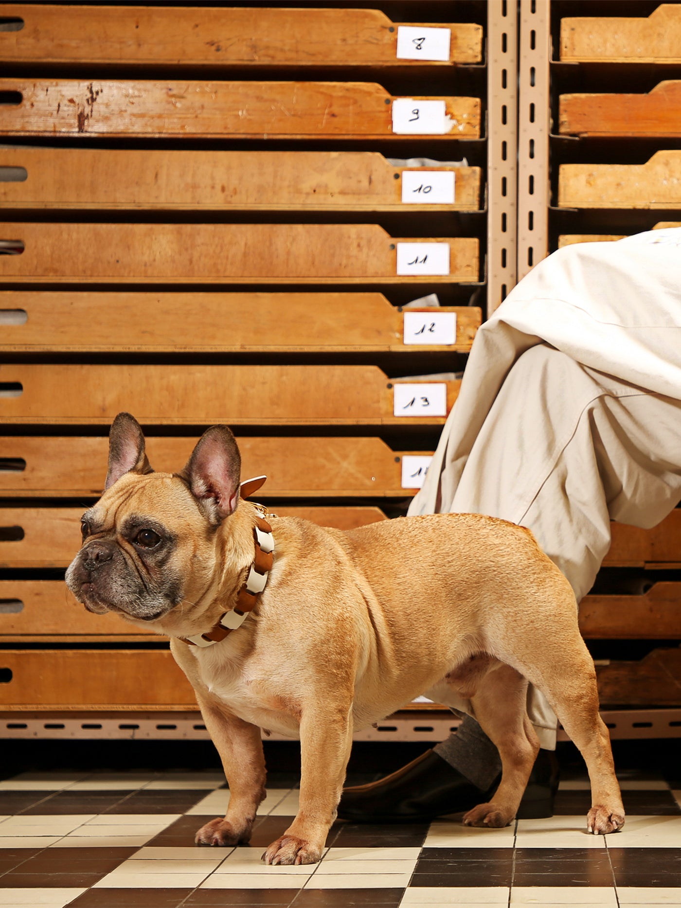 Accessoires animaliers