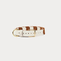 Chopin Beige Havana Necklace