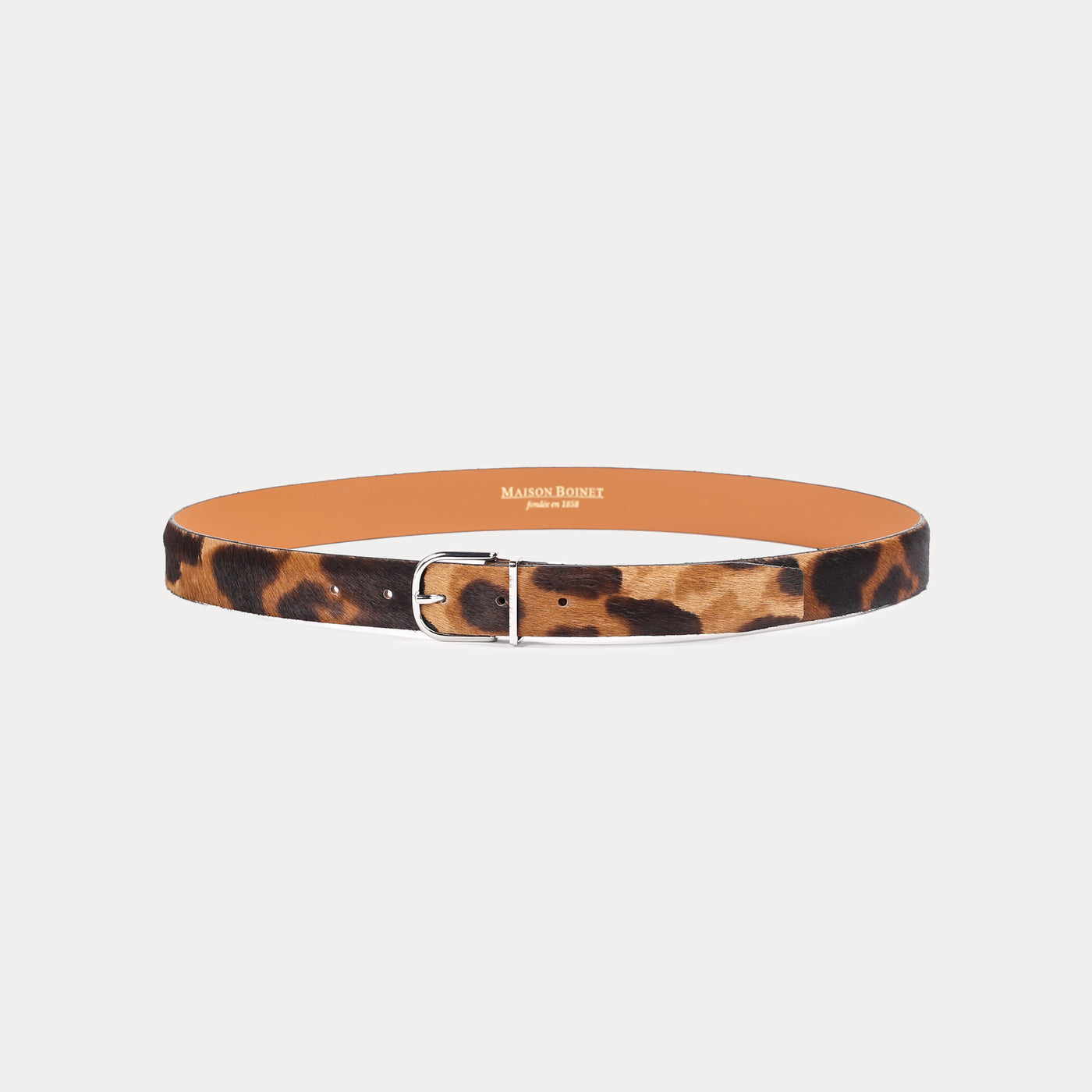 Nolan Havana Belt
