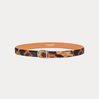 Nolan Havana Belt
