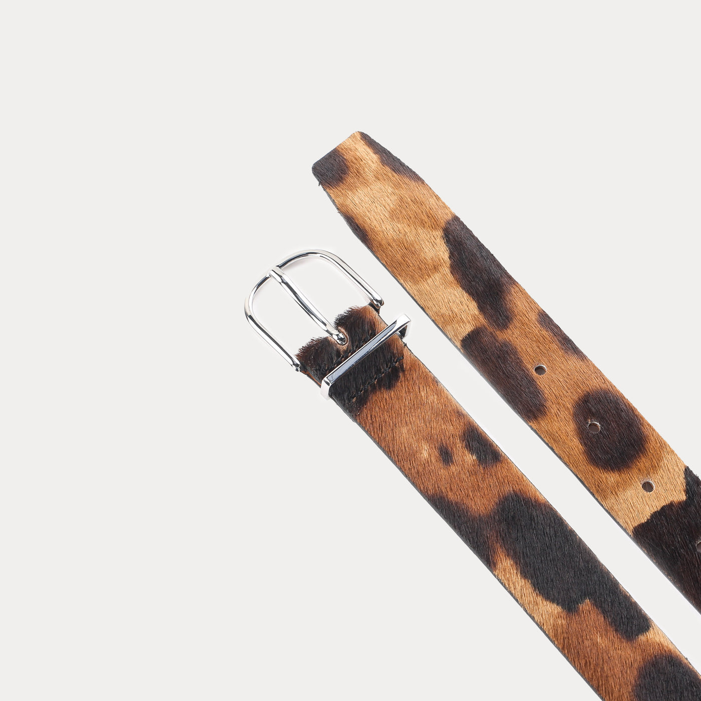 Nolan Havana Belt