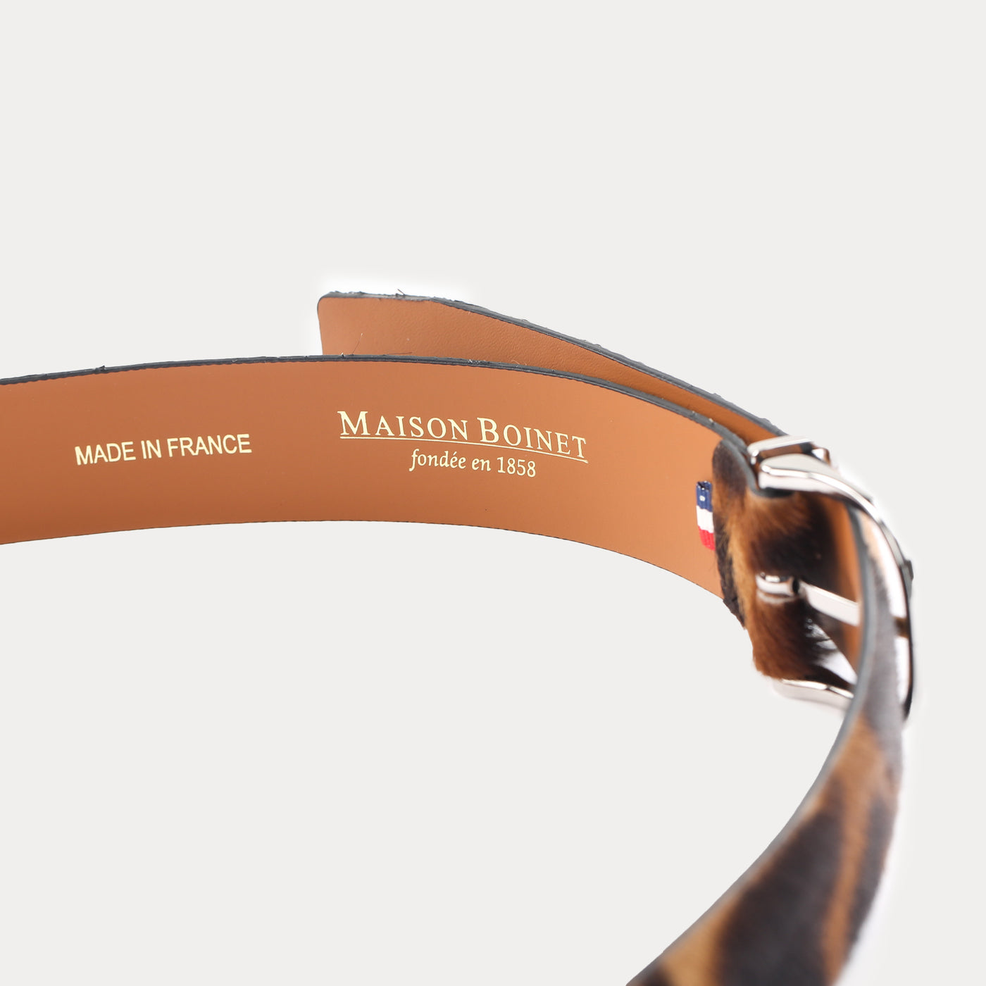Nolan Havana Belt