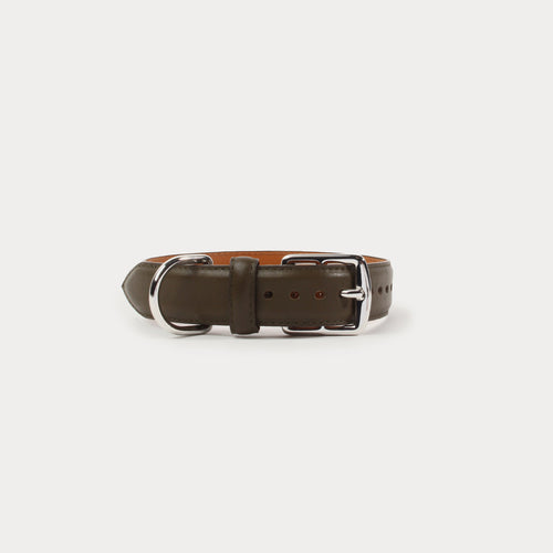 Collier Beethoven Caribou