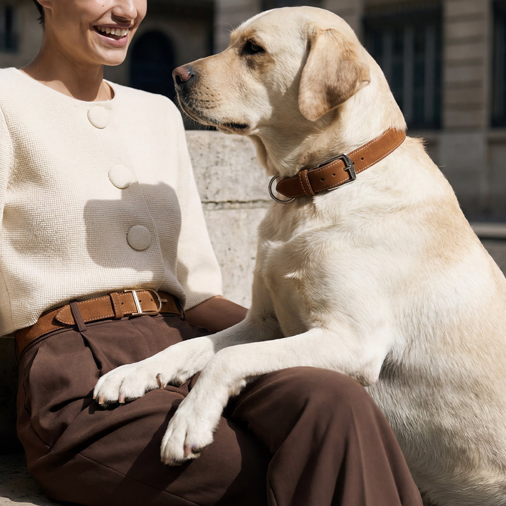Accessoires animaliers